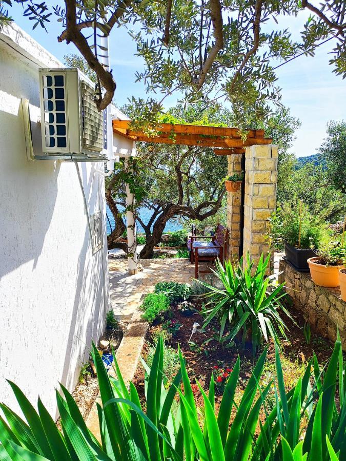 Weekend House Olive Garden Villa Donje Selo na Šolti Exterior foto